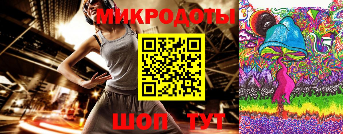 Галлюциногенные грибы Psilocybe Сосновоборск