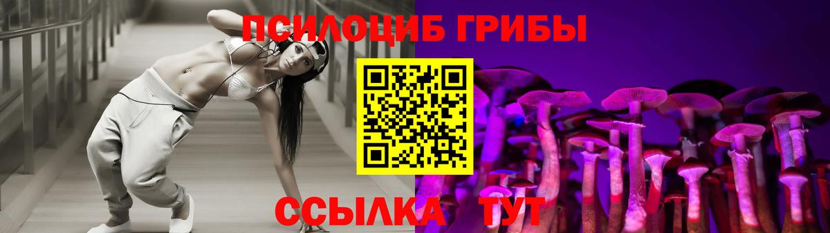 Псилоцибиновые грибы Psilocybe  Вход с VPN  Галлюциногенные грибы Cubensis  Сосновоборск 